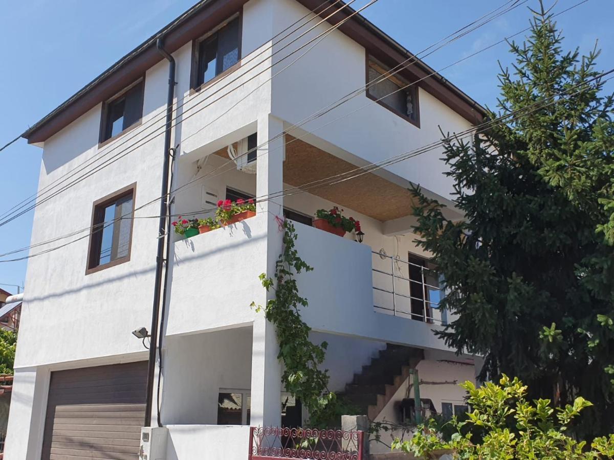 מלון אפורי נורד Vila Axelandra מראה חיצוני תמונה